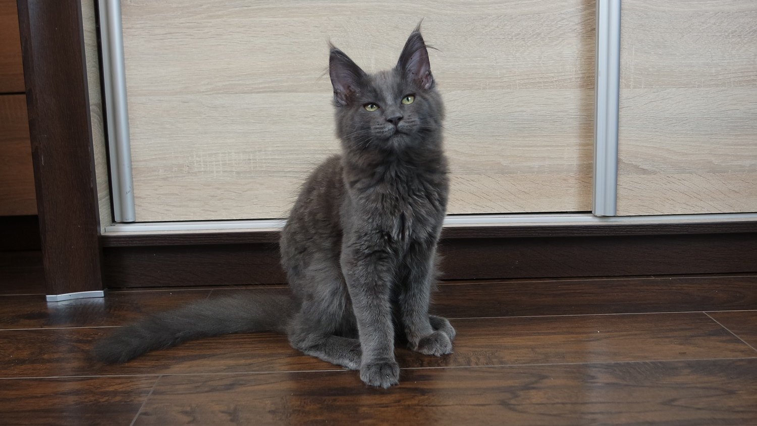 Anielka